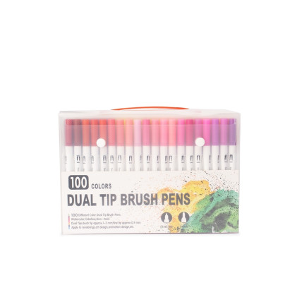 Kit Canetinhas Ponta Dupla Com 100 Cores Promocional