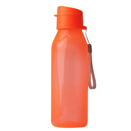 Squeeze Plástico 700ml Para Brindes com Logo